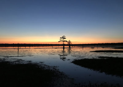 36 Cow Island Crossroads