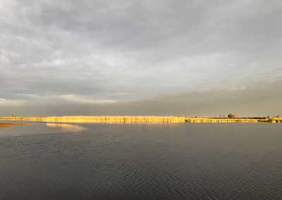 42 Island Blind