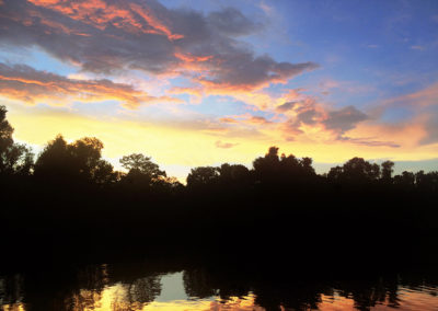 70 Bayou Benoit Swampset